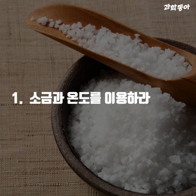 (주)동아사이언스 제공